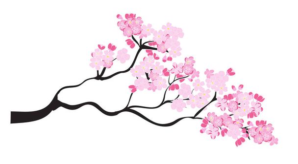 Free hand Sakura flower vector set, Beautiful line art Peach blossom  - Vector, Image