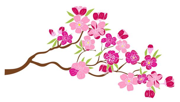 Volná ruka sada vektoru Sakura Flower, nádherná linie umění broskvová květina  - Vektor, obrázek