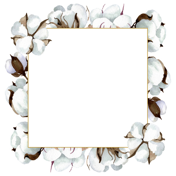 Flores botánicas florales de algodón blanco. Conjunto de ilustración de fondo acuarela. Marco borde ornamento cuadrado
. - Foto, imagen