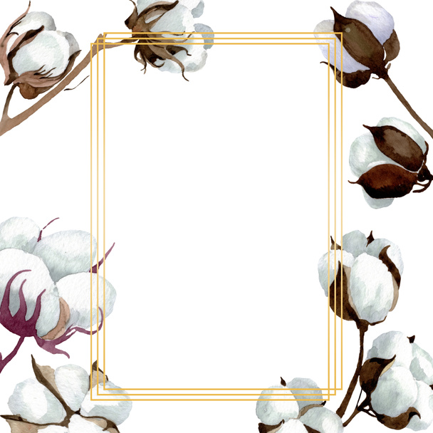 Flores botánicas florales de algodón blanco. Conjunto de ilustración de fondo acuarela. Marco borde ornamento cuadrado
. - Foto, Imagen