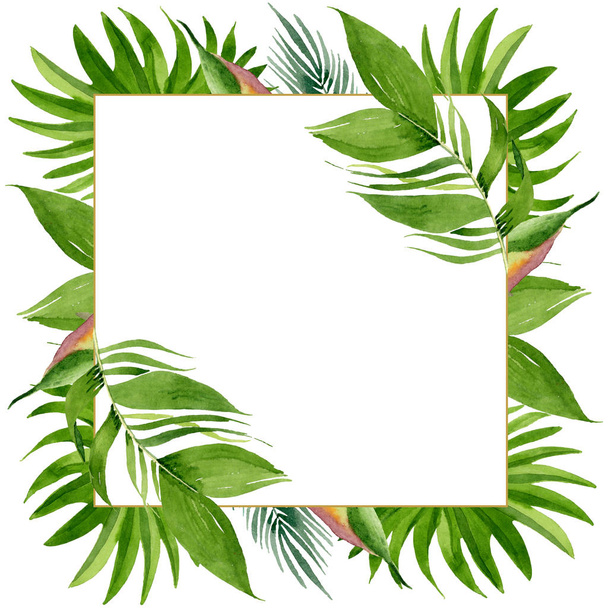 Palm Beach tree verlaat jungle botanische. Aquarel achtergrond illustratie instellen. Frame rand ornament vierkant. - Foto, afbeelding