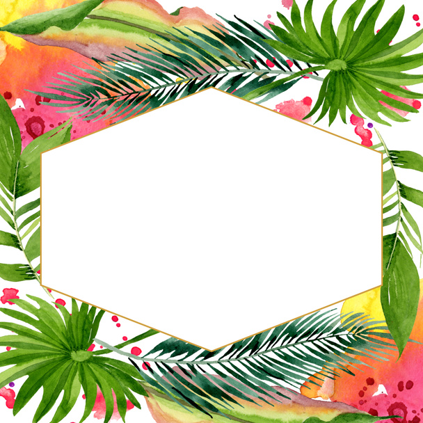 Palm beach tree leaves jungle botanical. Watercolor background illustration set. Frame border ornament square. - Valokuva, kuva