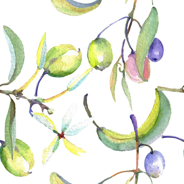Gałązka oliwna z czarnym i zielonym owocem. Akwarela zestaw ilustracji tła. Płynny wzór tła. - Zdjęcie, obraz
