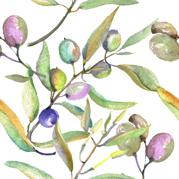 Olive branch with black and green fruit. Watercolor background illustration set. Seamless background pattern. - Fotoğraf, Görsel