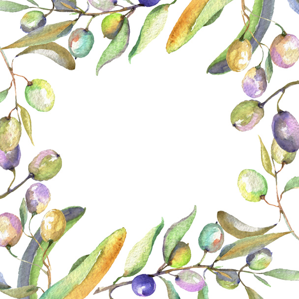 Olive branch with black and green fruit. Watercolor background illustration set. Frame border ornament square. - Fotografie, Obrázek