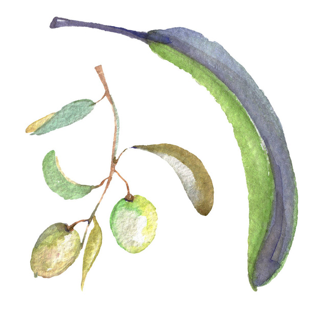 Оливковая ветвь с черными и зелеными фруктами. Набор акварельных фонов. Изолированный элемент иллюстрации оливок
. - Фото, изображение