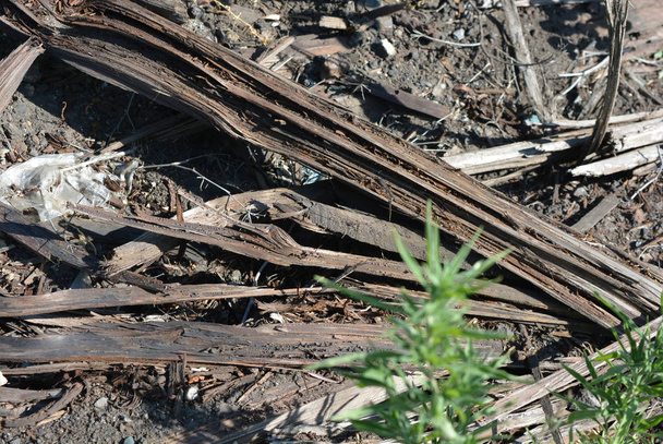 鉄道線路から古い黒と茶色の木製のバー, 壊れて、時間によって割れた.日光の下で珍しい色と非常にユニークな木製の背景. - 写真・画像