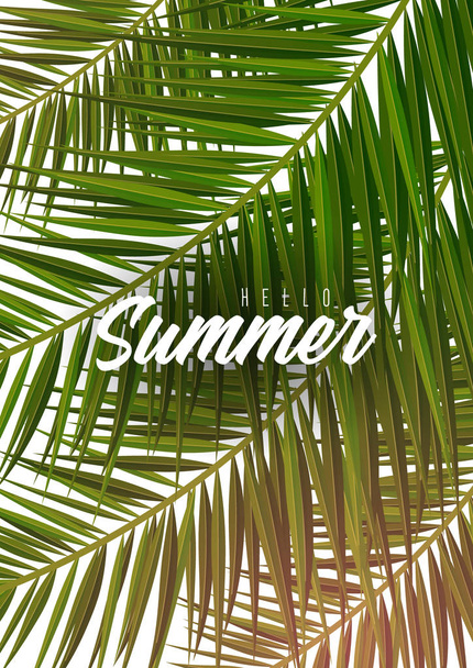Summer Tropical palm leaves. Exotic palms tree. Floral Background. - Vektor, obrázek
