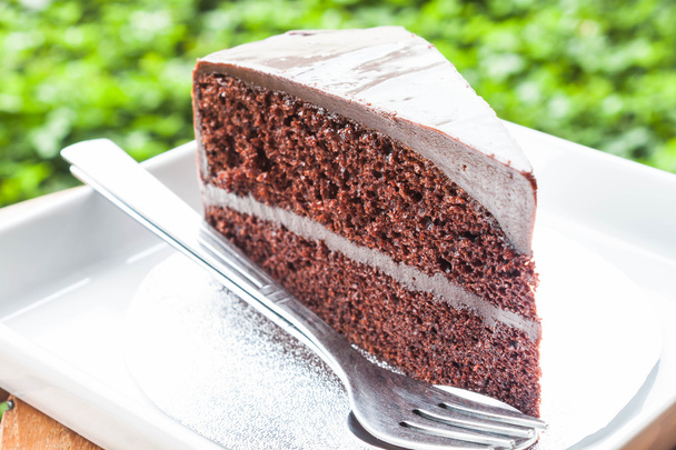 διπλό κρέμα σοκολάτας κέικ στρώματα σε άσπρο πιάτο - Φωτογραφία, εικόνα