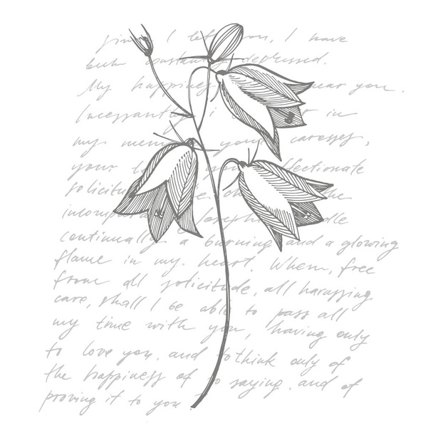 Bellflower blossoms, leaves and bouquets set. Natural summer, spring meadow plants monochrome. Floral natural illustration for poster, textile decoration. Botanical plant illustration. Handwritten - Фото, зображення