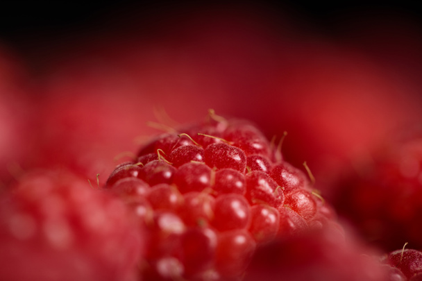 close up view of delicious fresh ripe raspberry - Photo, Image