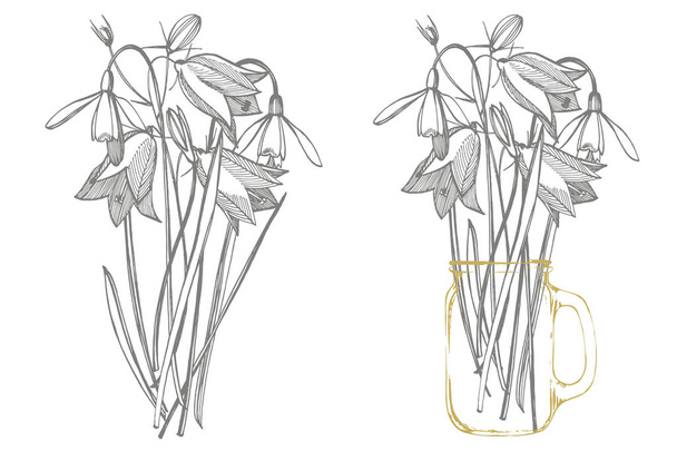 Bells and Snowdrops flowers. Bouquet of hand drawn flowers and herbs. Botanical plant illustration. - Foto, imagen