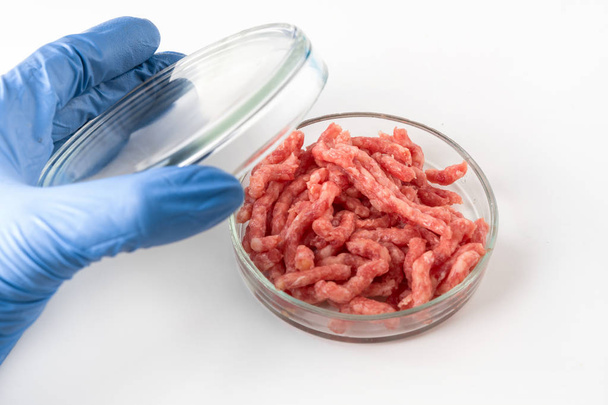 Minced meat in Petri dish in hands scientist. Chemical experiment. Laboratory science studies. - Φωτογραφία, εικόνα