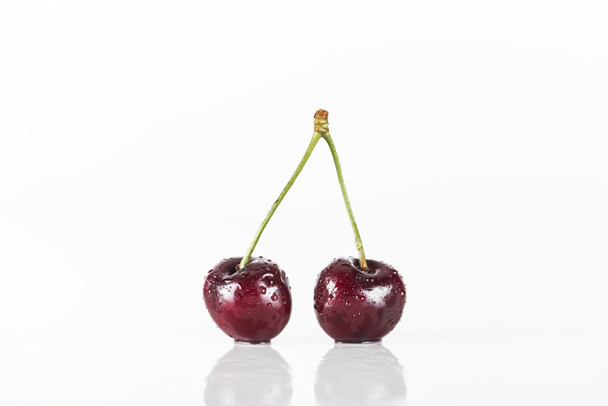 red, fresh, whole and wet cherries on white background with copy space  - 写真・画像