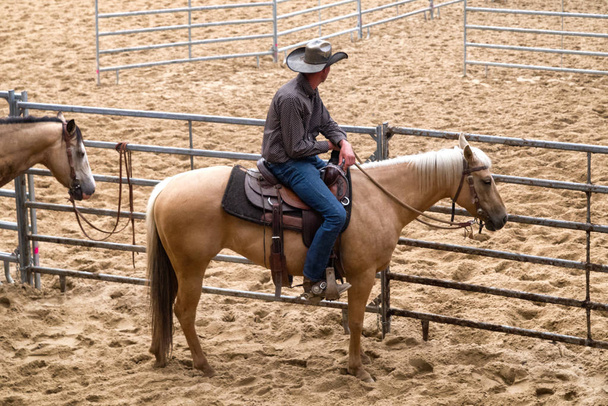 Rancher at rodeo - Photo, Image