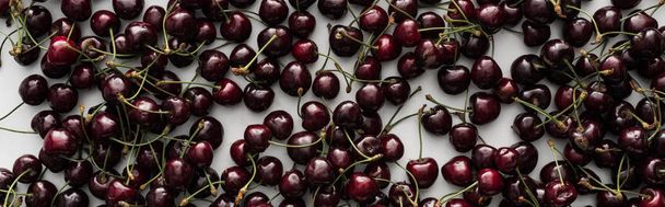 panoramic shot of fresh, sweet and red cherries on white background  - Fotografie, Obrázek