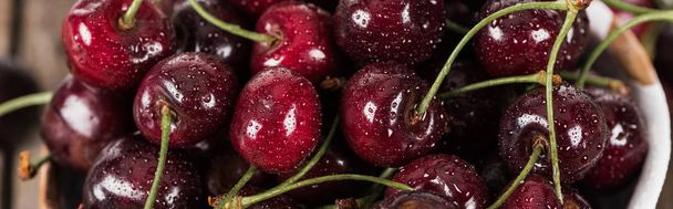 panoramic shot of fresh, sweet, red and ripe cherries covered with water drops  - 写真・画像