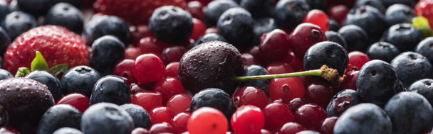 panoramic shot of fresh and ripe cherries with drops, blueberries, strawberry and cranberries   - Foto, Imagen