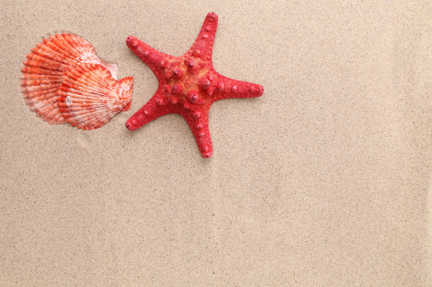 Red starfish and shell on sandy background - Zdjęcie, obraz