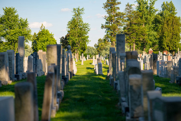 Tumbas en un cementerio con hierba verde y árboles
 - Foto, Imagen