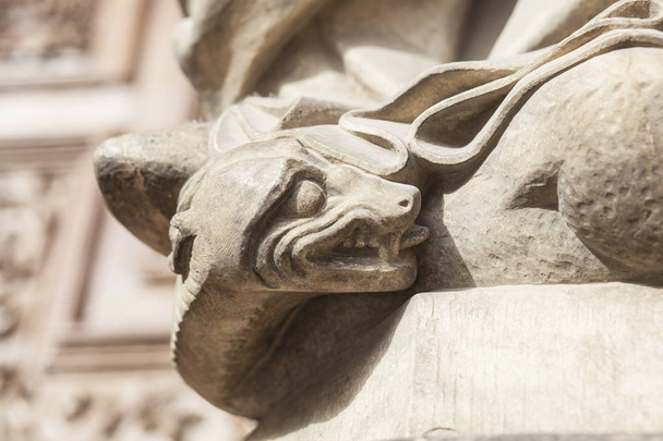 Змія під незайманою ногою, Леон собор, Іспанія - Фото, зображення