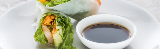 panoramic shot of tasty and served spring rolls with soy sauce on white plate  - Photo, Image