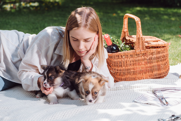 dreamy blonde girl sitting on white blanket in garden with cute welsh corgi puppies - Fotó, kép
