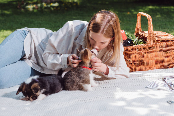 attractive blonde girl sitting on white blanket in garden and playing with cute welsh corgi puppies - Foto, Bild