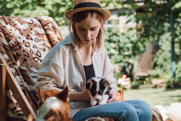 blonde girl in straw hat holding puppy near welsh corgi dog while sitting in deck chair in garden - Фото, изображение