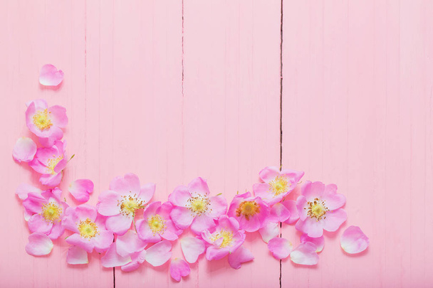 frame of pink roses on pink wooden background - Фото, зображення