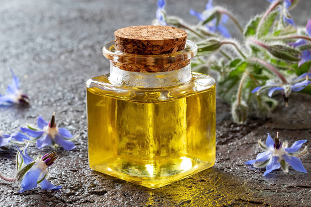 Una botella de aceite de borraja con planta de borraja fresca - Foto, imagen