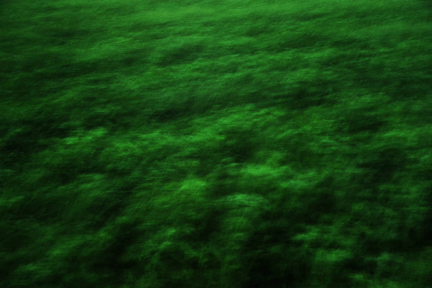 Abstract gras bewegen door avond wind achtergrond, ontspannen en rustgevende natuur gevoel - Foto, afbeelding