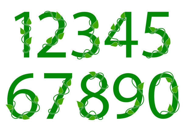 Green font numbers from 1 to 0 with leaves. Nature style. Vector illustration - Διάνυσμα, εικόνα