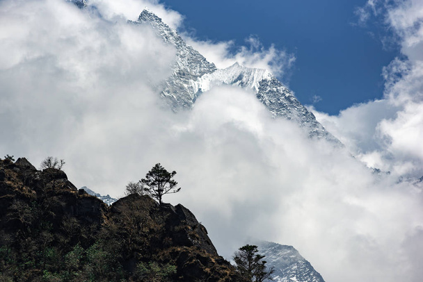 Albero solitario e Monte Thamserku in Himalaya
 - Foto, immagini