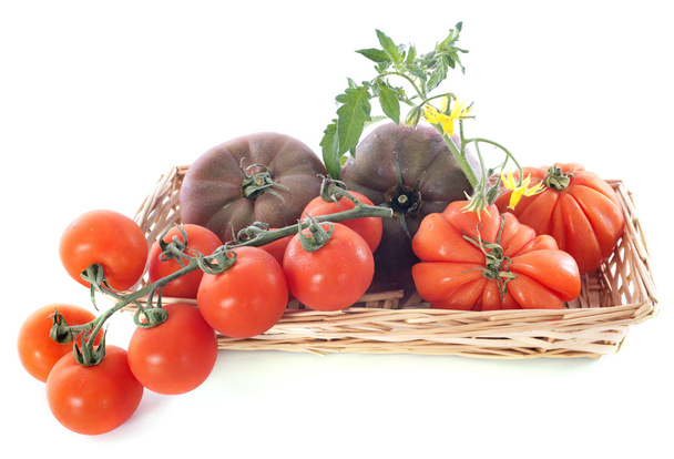トマトの品種 - 写真・画像