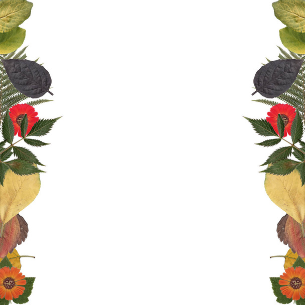 рамка з кольорових листя і квітів
 - Фото, зображення