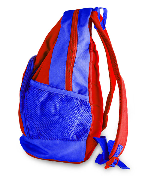 The sport bag isolated on the white background - Photo, Image