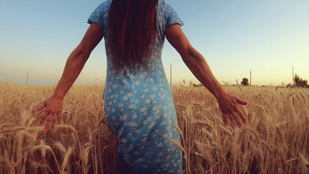 Kobieta odejdę na polu pszenicy, powolny ruch - Materiał filmowy, wideo
