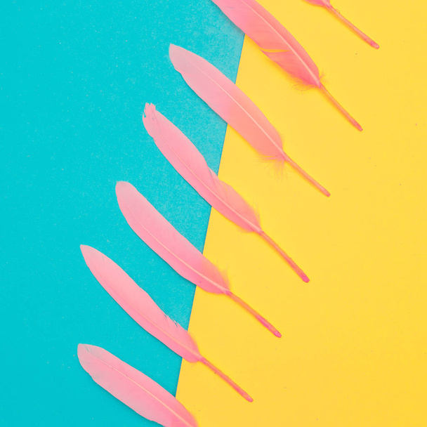 Feathers vanilla set concept. Minimal flat lay art - Foto, Imagen