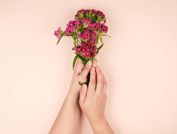açık pürüzsüz deri ve çiçek açan Tur tomurcukları ile kadın elleri - Fotoğraf, Görsel
