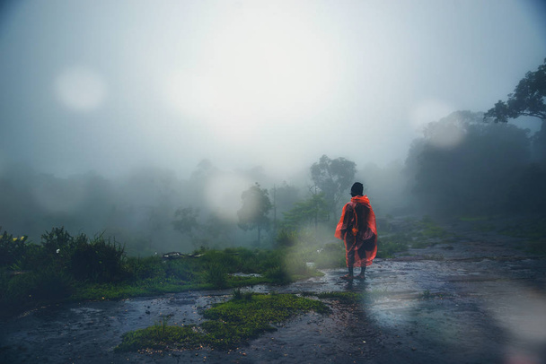 Азиатский мужчина путешествует сон расслабиться. Утренняя атмосфера природы Леса. прогулка в лесной сезон дождей. puhinrongkla Таиланд
 - Фото, изображение