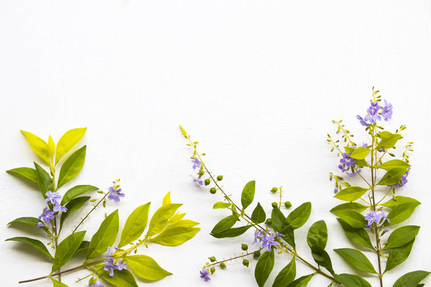 pieni violetti kukkia ja lehtiä järjestely tasainen lay postikortti tyyli taustalla valkoinen
  - Valokuva, kuva