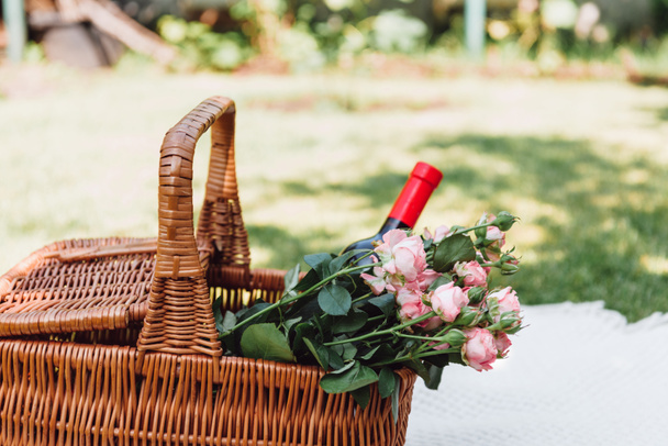 wicker basket with roses and bottle of wine on white blanket at sunny day in garden - Photo, Image