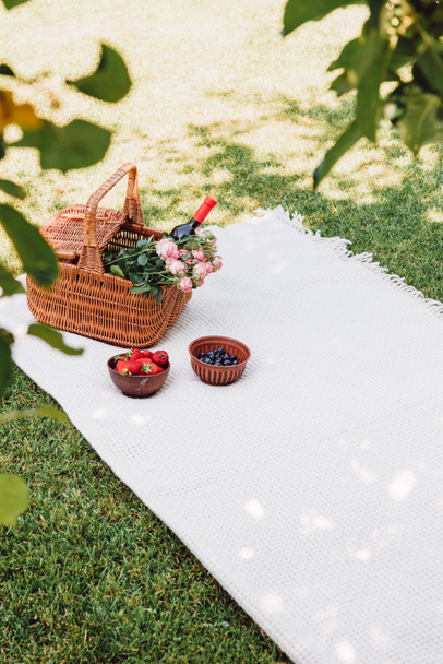 selective focus of green foliage and wicker basket with roses and bottle of wine near berries on white blanket at sunny day in garden - Φωτογραφία, εικόνα
