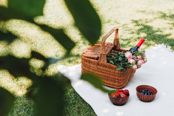 selektywne skupienie zielonych liści i wikliny kosz z róż i butelkę wina w pobliżu jagód na białym kocu w słoneczny dzień w ogrodzie - Zdjęcie, obraz