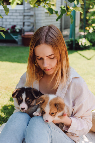 blonde girl in garden with adorable puppies at sunny day - Valokuva, kuva