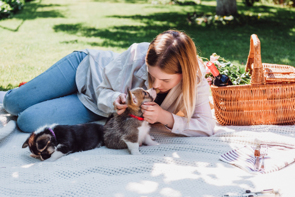 chica rubia sentada en la manta en el jardín y jugando con los cachorros en el día soleado
 - Foto, Imagen
