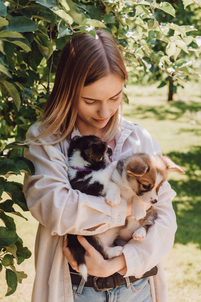 blonde girl holding cute puppies in garden near green tree  - Foto, afbeelding