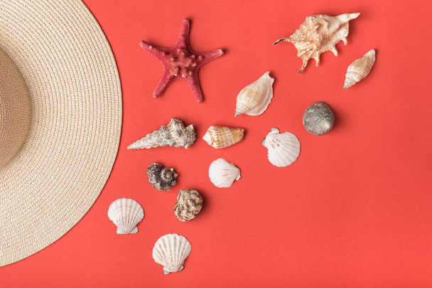 Variety of seashells and part of straw hat. Living coral on the background. Flat lay. Marine concept - Photo, Image