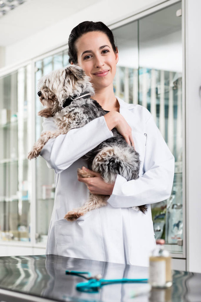 Smiling veterinarian carrying sick puppy - Fotografie, Obrázek